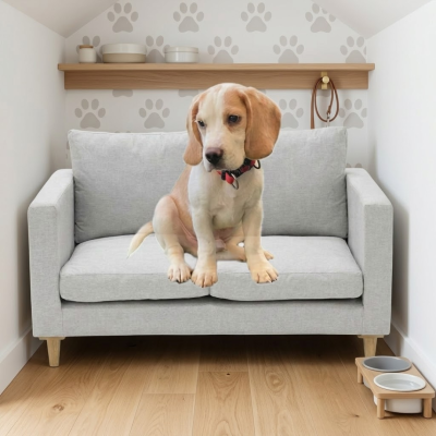 โซฟาสัตว์เลี้ยงระดับพรีเมียม (Luxury Pet Sofa) ดีไซน์มินิมอล นุ่มสบาย แข็งแรงทนทาน สำหรับสุนัขและแมว BR6001, BR6002