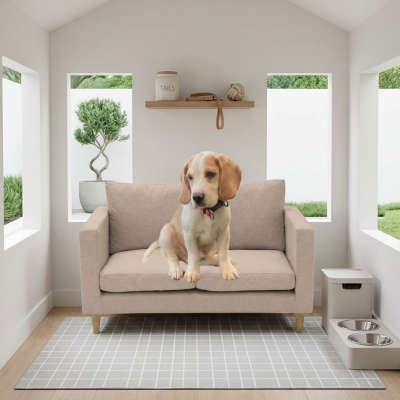 โซฟาสัตว์เลี้ยงระดับพรีเมียม (Luxury Pet Sofa) ดีไซน์มินิมอล นุ่มสบาย แข็งแรงทนทาน สำหรับสุนัขและแมว BR6001, BR6002