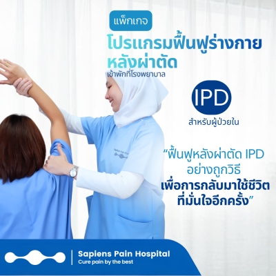 กายภาพ, iPD