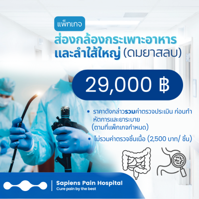 ส่องกล้อง, กระพาะอาหาร, ลำใส้ใหญ่