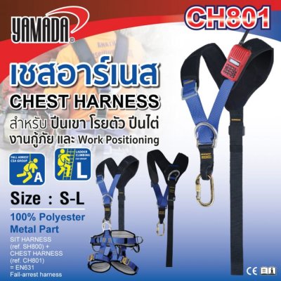 เข็มขัดเซฟตี้