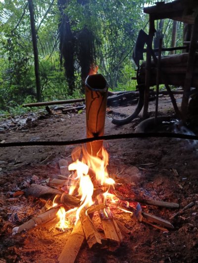 3 Day 2 Night Khaosok Land & Lake