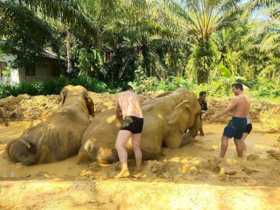 3 Day 2 Night Khaosok Land & Lake