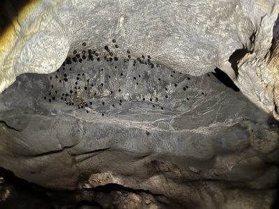 1 Day Tour Cheow Lan Lake, PrakaiphetCave