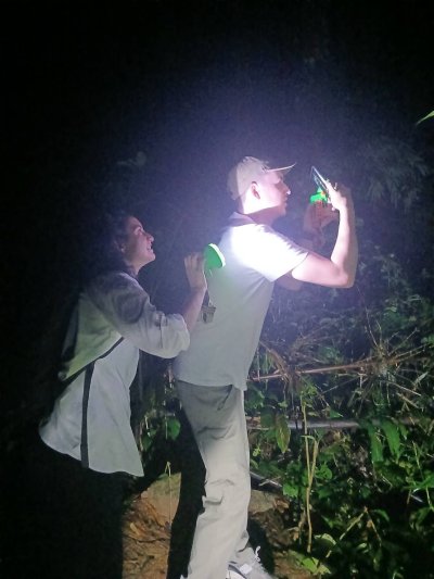 Night safari