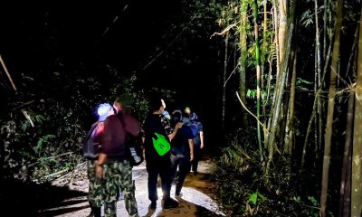 Khao Sok Night Safari Trek