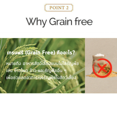 Mombless อาหารสุนัขเม็ดนิ่ม มัมเบลส รสแซลมอน (โปรตีน28%) ขนาด 1.2 kg