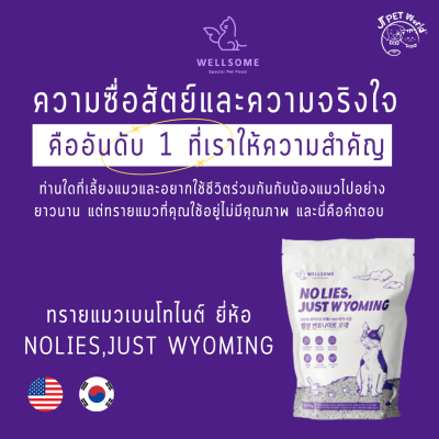 Wellsome Bentonite sand ทรายแมว เบนโทไนต์ (9.07 kg)