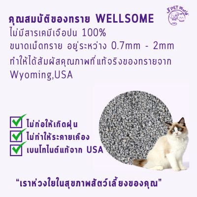 Wellsome Bentonite sand ทรายแมว เบนโทไนต์ (9.07 kg)