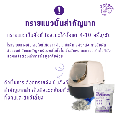 Wellsome Bentonite sand ทรายแมว เบนโทไนต์ (9.07 kg)