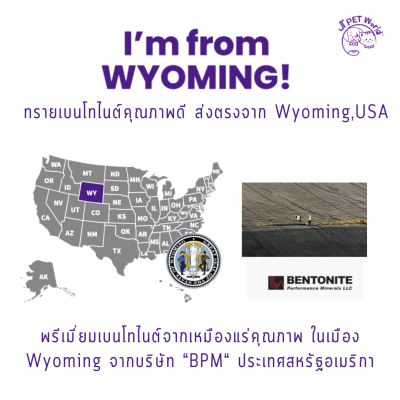 Wellsome Bentonite sand ทรายแมว เบนโทไนต์ (9.07 kg)
