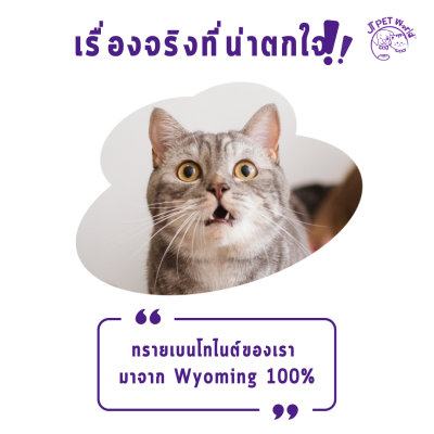 Wellsome Bentonite sand ทรายแมว เบนโทไนต์ (9.07 kg)