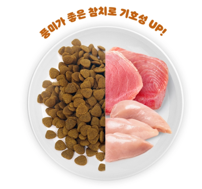 (exp.02/09/26) Catsrang Kitten อาหารแมว แคทรัง สูตรแมวเด็ก เกรดซูเปอร์พรีเมียม Premium