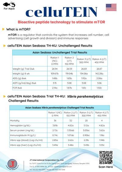celluTEIN _ Feed additives