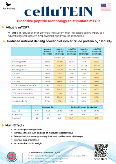celluTEIN _ Feed additives
