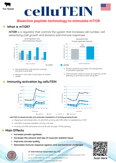 celluTEIN _ Feed additives