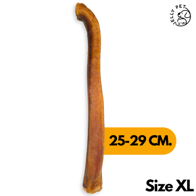 Bully Stick 1 Piece