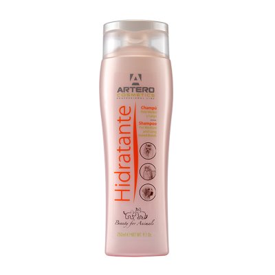 H624 HIDRATANTE MOISTURE 250ML