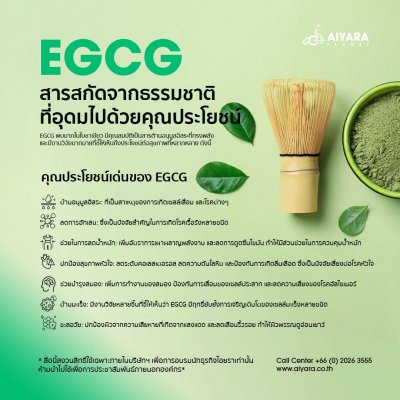 Aimmura-19  (เอมมูร่า ไนน์ทีน)