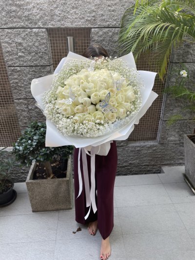 50 English White Roses