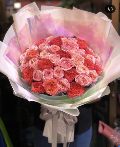 50 Multicolor Roses