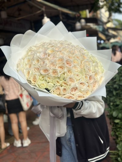 100 English White Roses