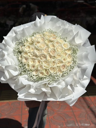 50 White Rose Extra Wrapping