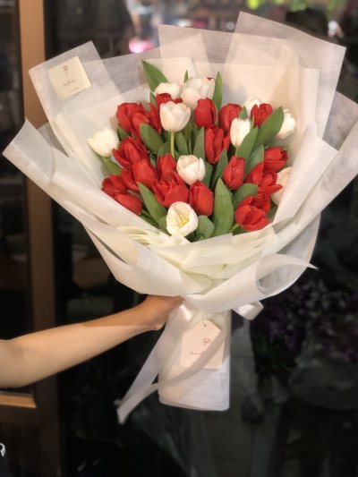 30 Tulips Red and White