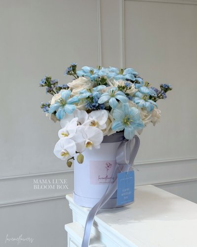 Mama Luxe Bloom Box with Orchids - Luxury Gift