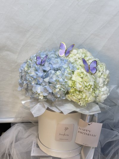 Sky Hydrangea Flower Box