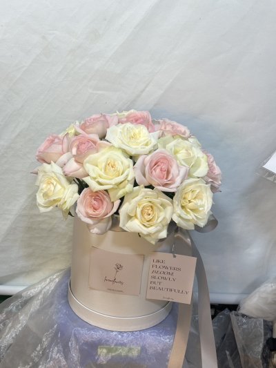20 English White and Pink Roses