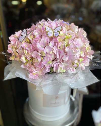 Pink Hydrangea FlowerBox