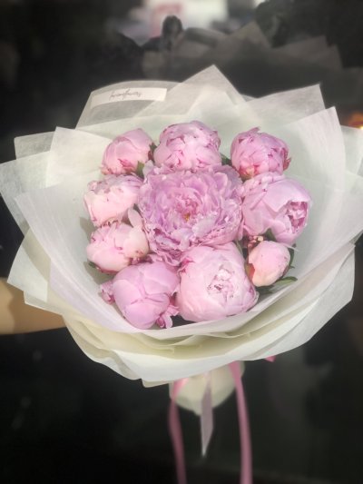 10 Pink Peony