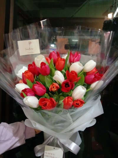 30 Tulips Red and White Clear Wrapping