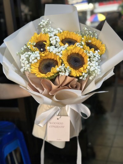 5 Sunflower with Gypsie