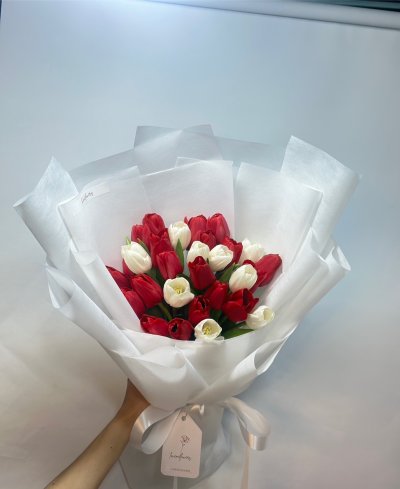 30 Tulips Red and White