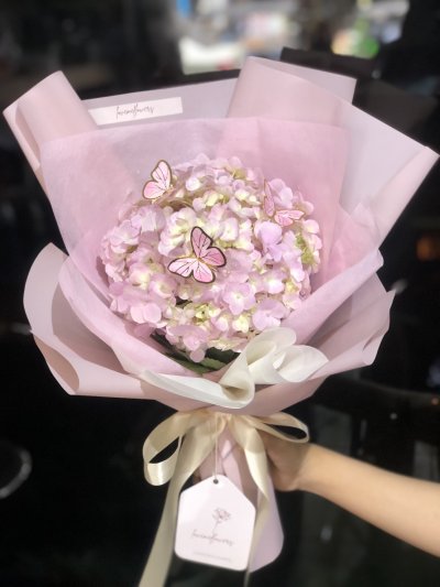 Mini Hydengea Pink