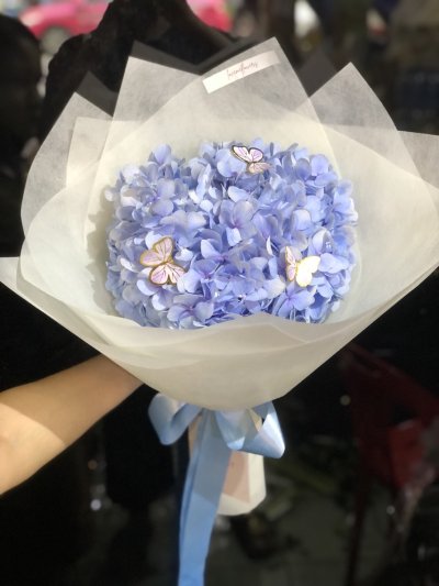 Mini Hydrangea Blue with Butterfly