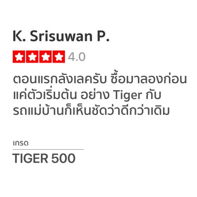 googai review_Tiger01