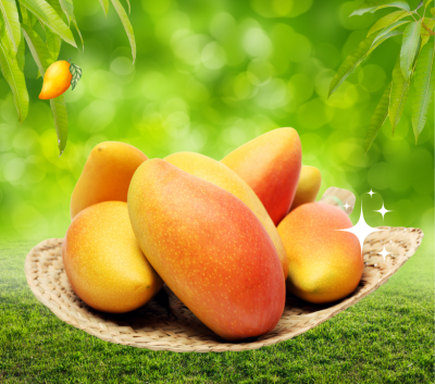 Mango