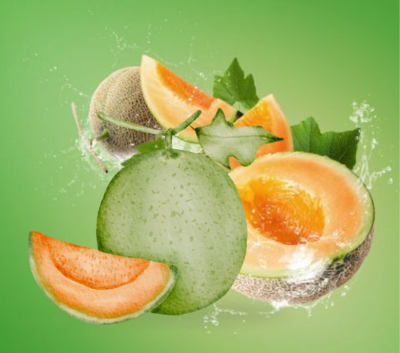 Japanese Yubari Melon