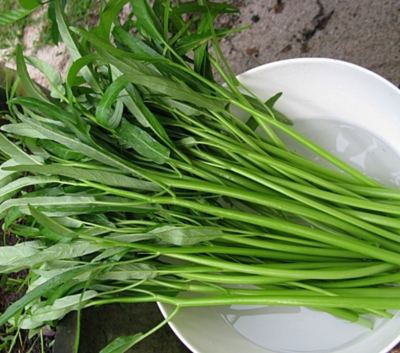 Chinese water spinach