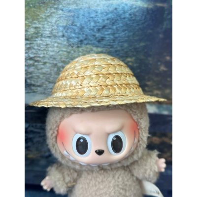 [พร้อมส่งในไทย] หมวกฟางน้องบู้ หมวกฟางน้องเป็ด หมวกฟางน้องหมาน้องแมวสำหรับสัตว์เลี้ยงหมวกจิ๋วของจิ๋ว
