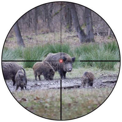 กล้องติดปืนVECTOR OPTICS Constantine 1-10x24 Fiber Dot กล้องติดปืนVECTOR OPTICS Constantine 1-10x24 Fiber Dot