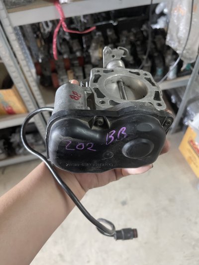 ปีกผีเสื้อair massW202