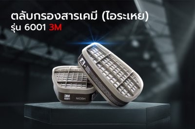 ตลับกรองสารเคมีคู่ รุ่น 6001 3M (ไอระเหย)