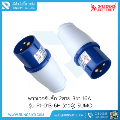 เพาเวอร์ปลั๊กตัวผู้ 2 สาย 3 ขา 16A 220V รุ่น P1-013-6h (สีน้ำเงิน)