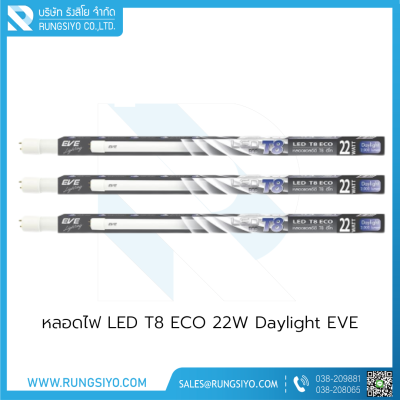 หลอดไฟ LED T8 ECO 22W Daylight EVE