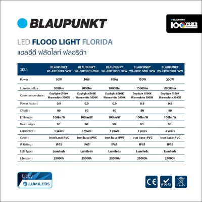 BLAUPUNKT โคมไฟ FLOODLIGHT LED 150W