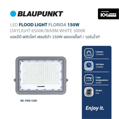 BLAUPUNKT โคมไฟ FLOODLIGHT LED 150W